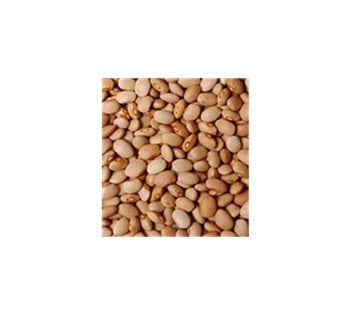 Fresh (Oloyin) Honey Beans 10lb